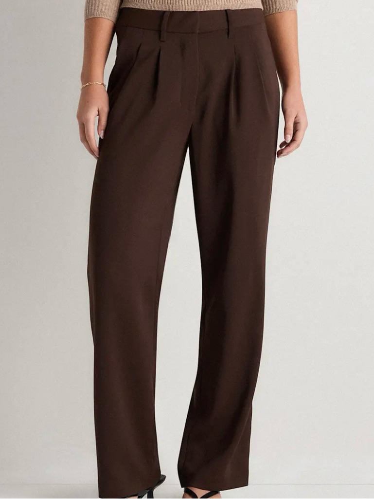 Quince Brown Wide-Leg Pleated Pants